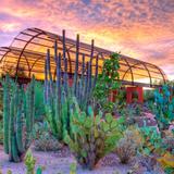 Desert Botanical Garden