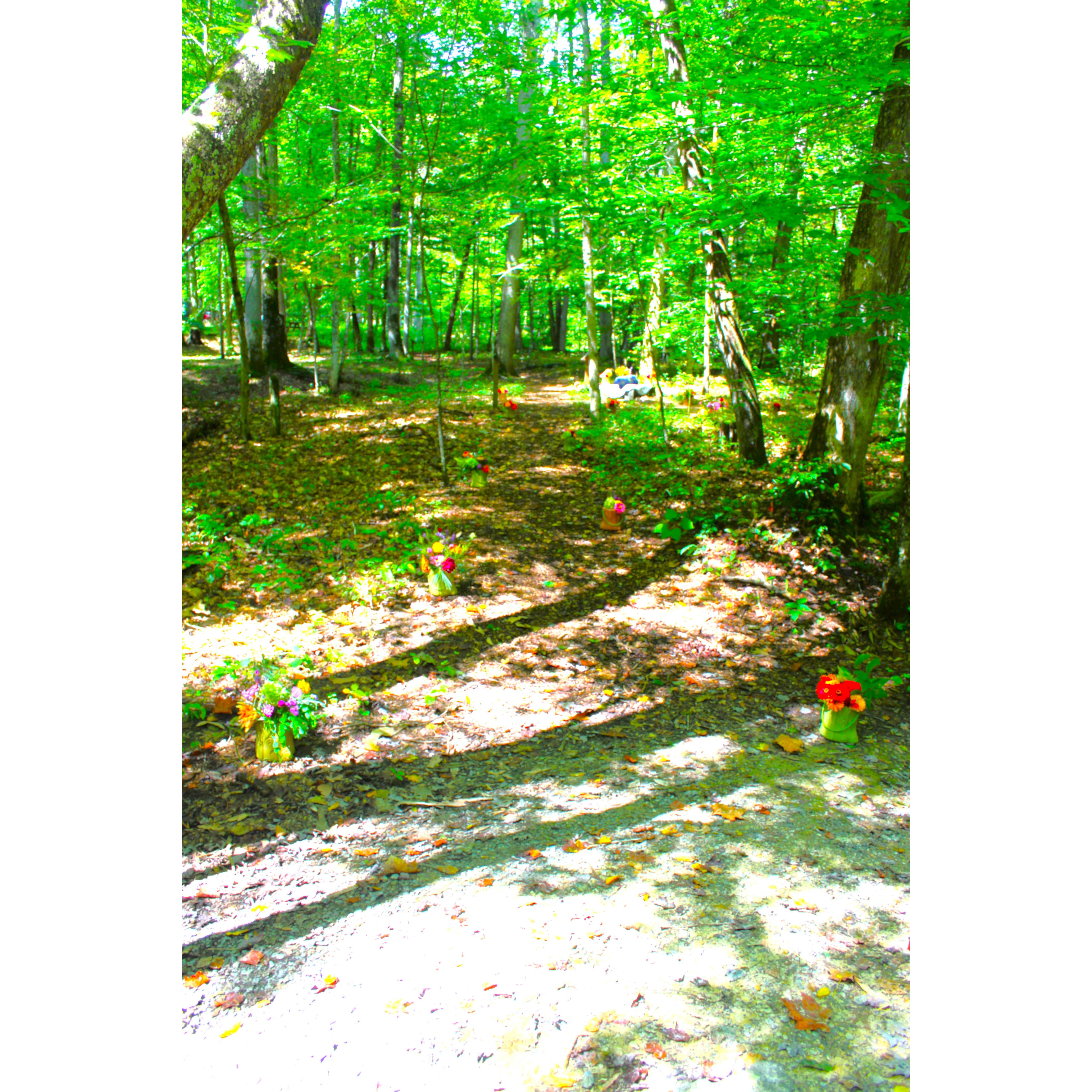 Michaels mom and neighbors came together and collected 20 arrangements of homegrown flowers for the proposal. So incredibly sweet, sentimental, and stunning! Pictures simply do not do it justice.