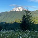 Mount Rainier National Park