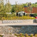 Minnesota Zoo