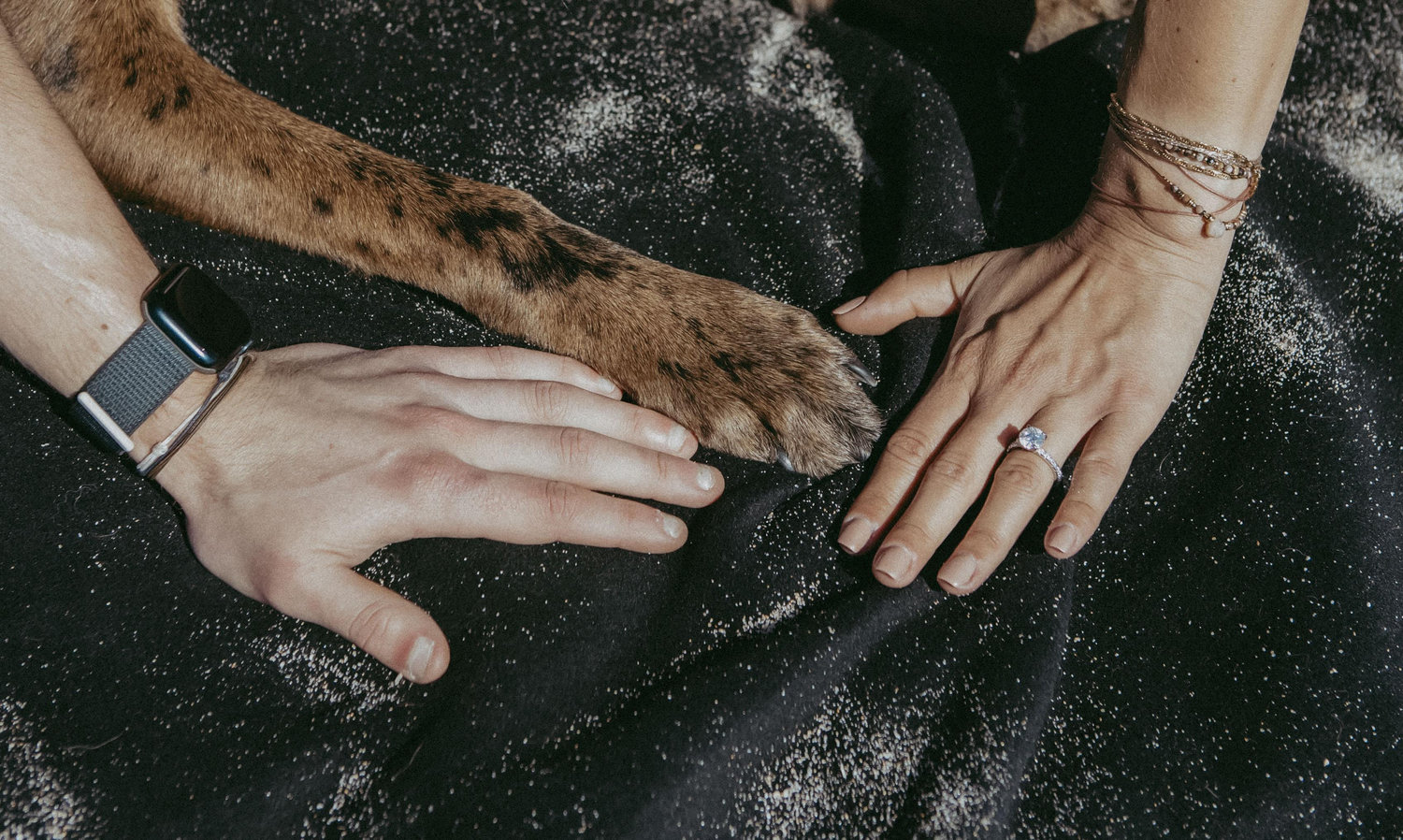 The Wedding Website of Sarah Trissel and Justin Meichner