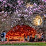 Grotto of Our Lady of Lourdes