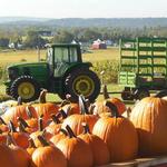 Shady Brook Farm
