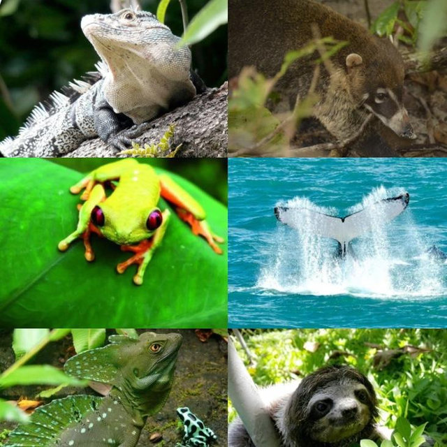 Wildlife Park Guided Tour
