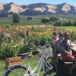 Take a Biking tour with MountNBarrel
