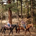 Horseback Riding - Year Round
