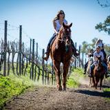 Wine Country Trails by Horseback