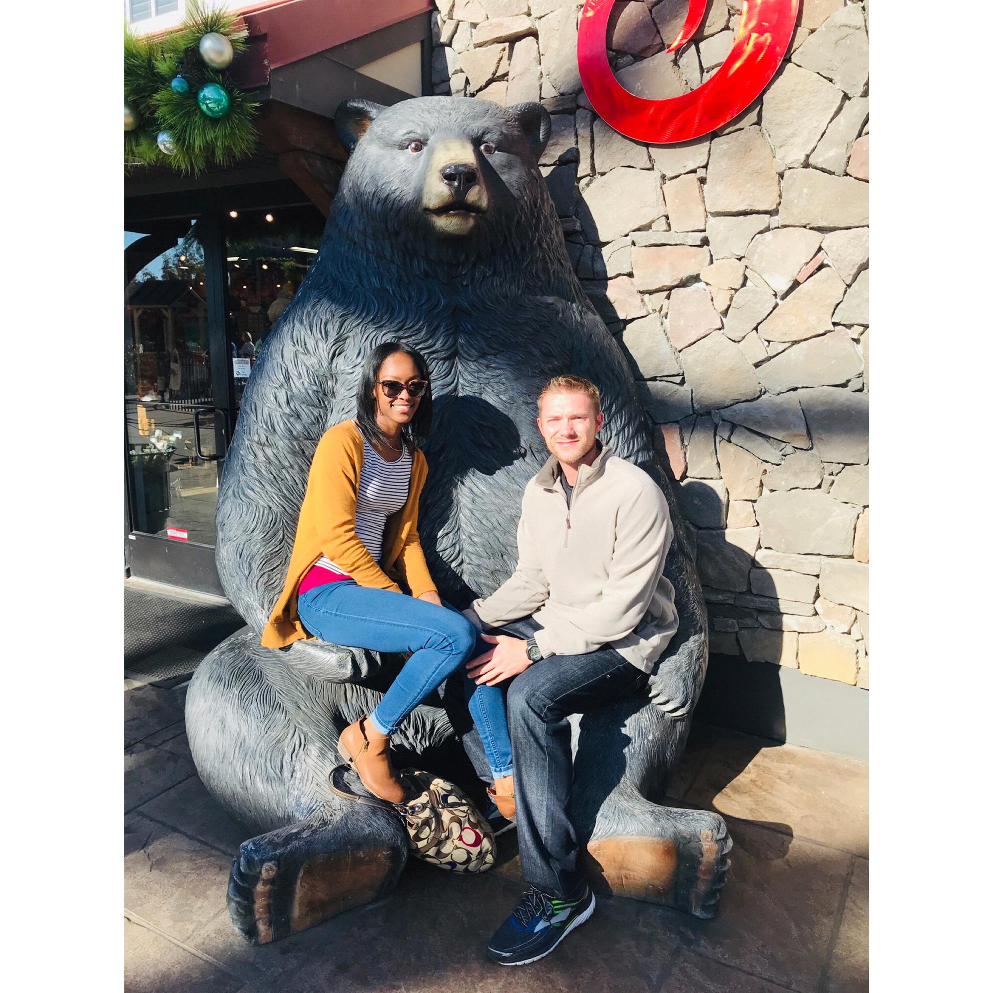 Thanksgiving 2018 in Gatlinburg, TN