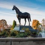 Kentucky Horse Park