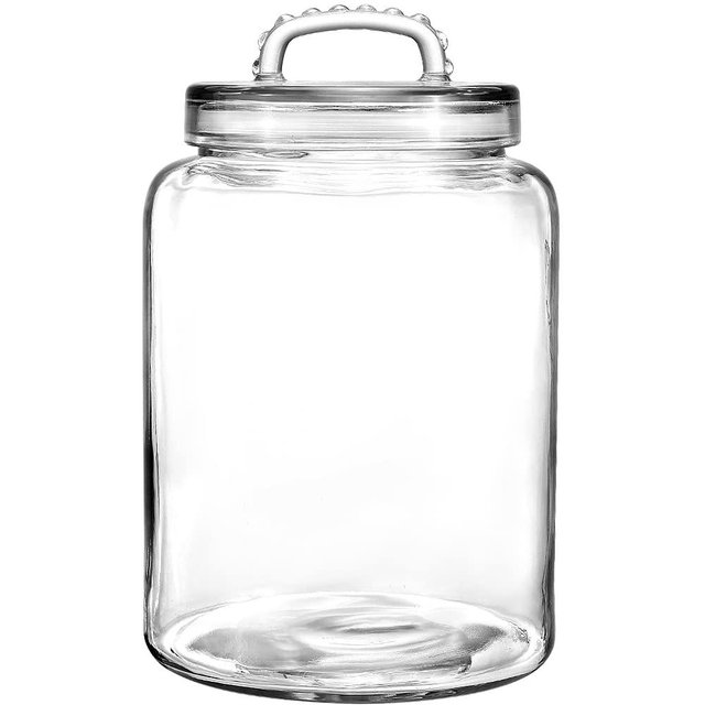 Daitouge 3 Gallon Wide Mouth Heavy Duty Glass Storage Jars with Fresh Lids for Bulk Food Storage
