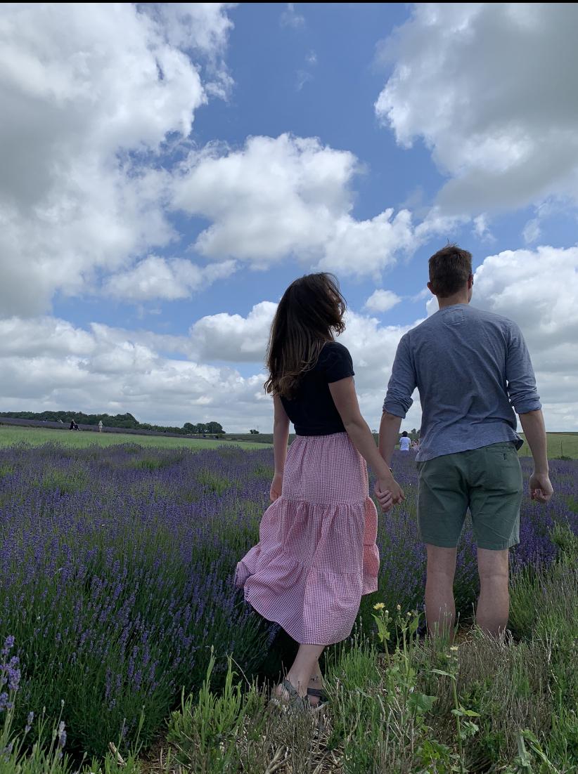 Lavender Field England 2019