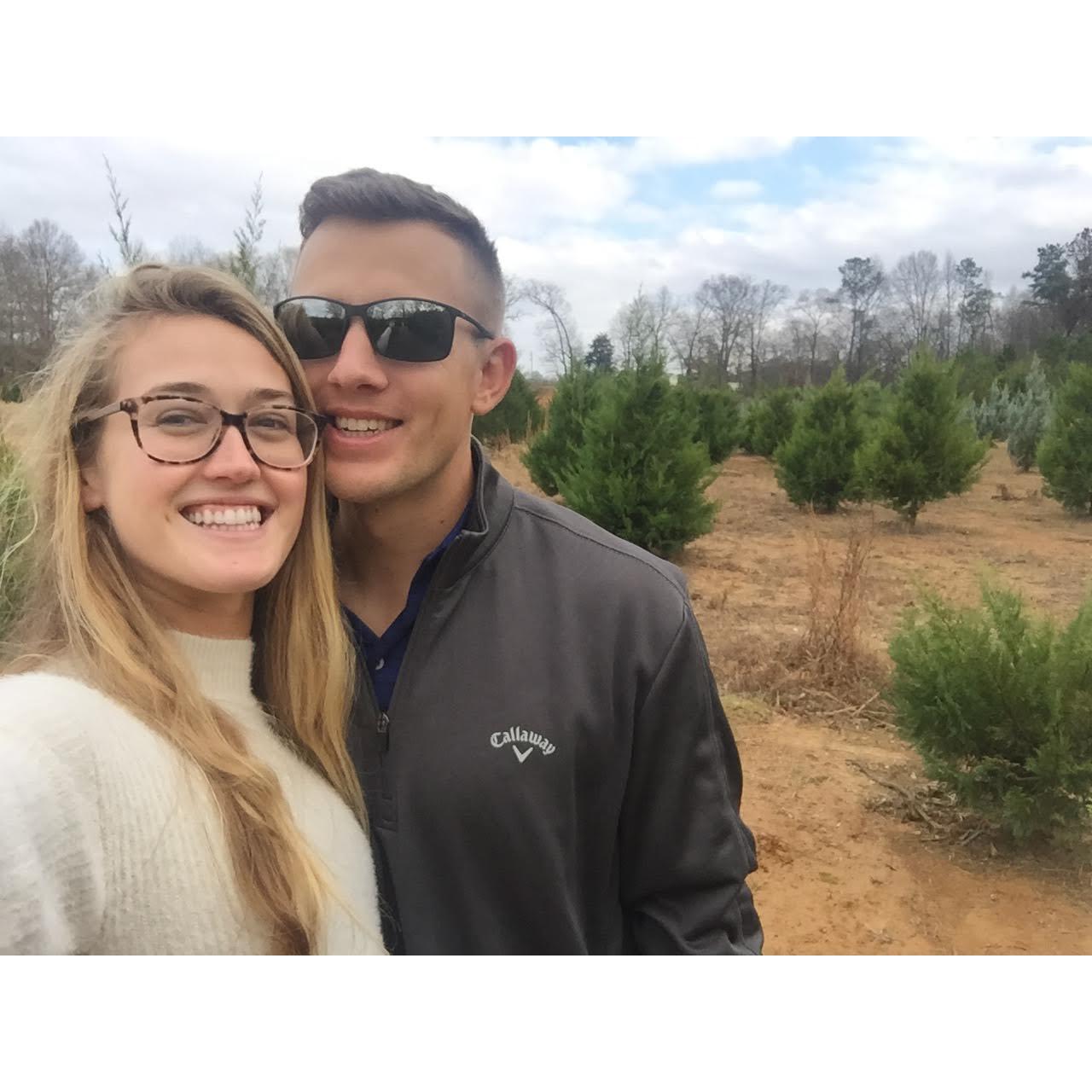 Christmas tree farm in Birmingham, AL