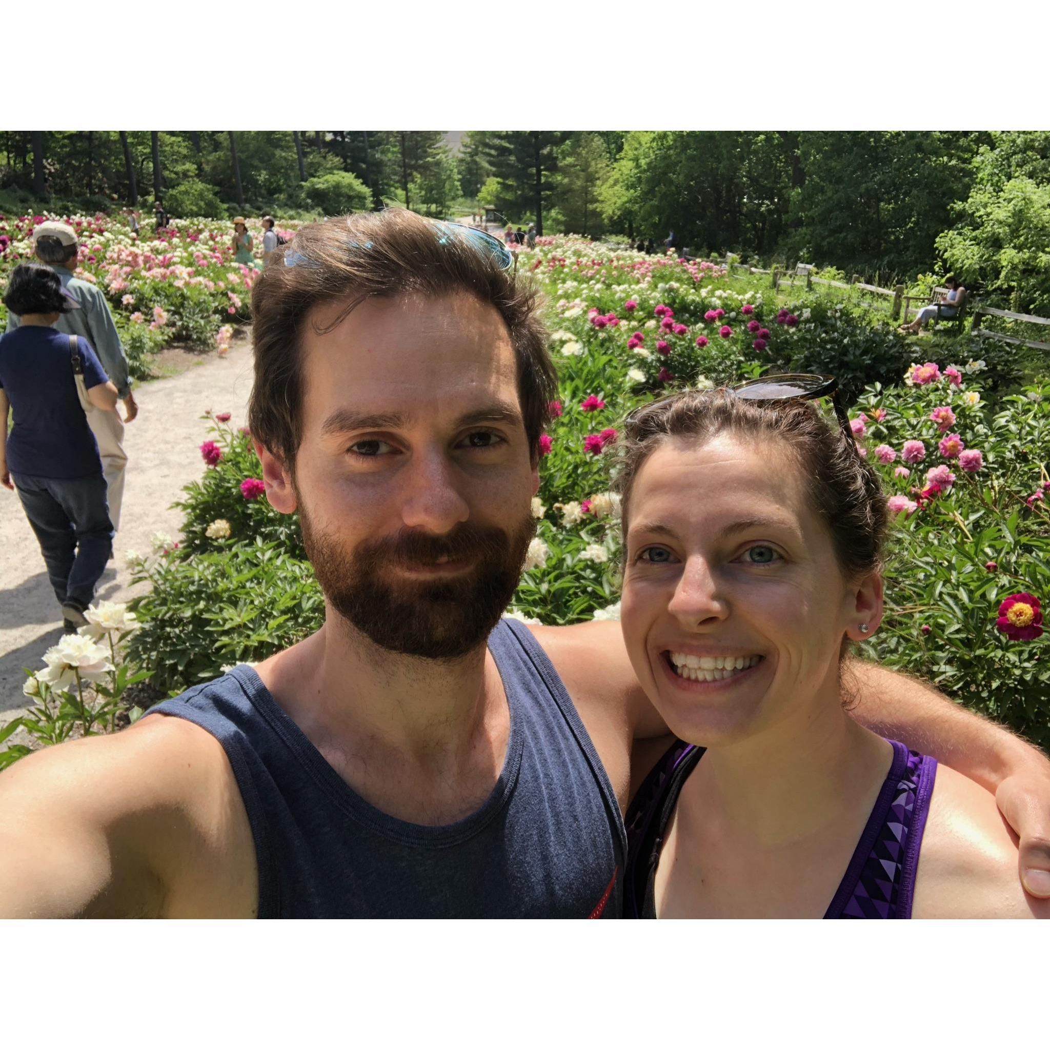 Year 4 - More Ann Arbor parks - the petunias blooming at Nichols Arboretum!
