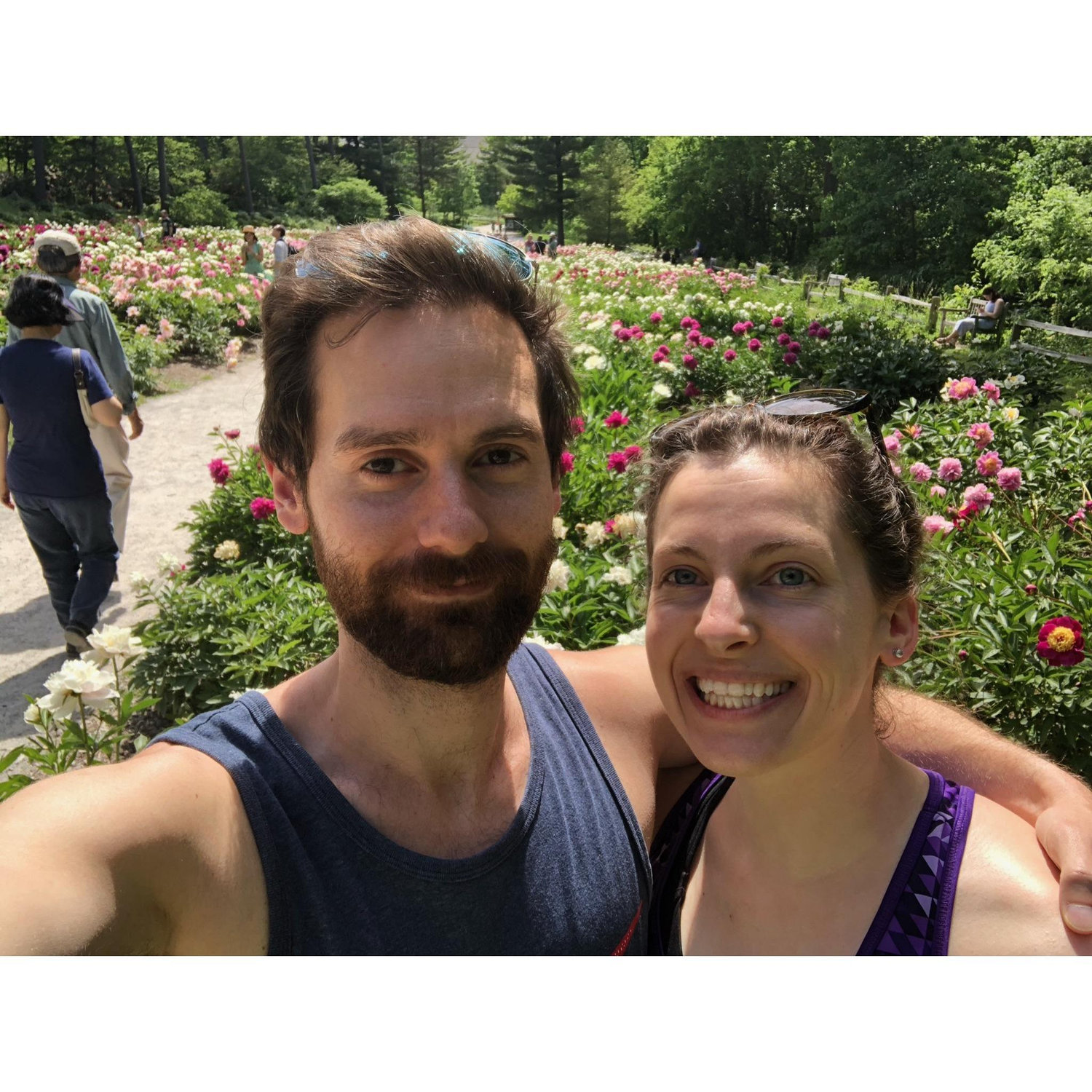 Year 4 - More Ann Arbor parks - the petunias blooming at Nichols Arboretum!