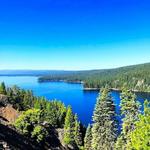 McCall