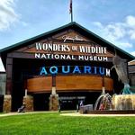Wonders Of Wildlife National Museum & Aquarium