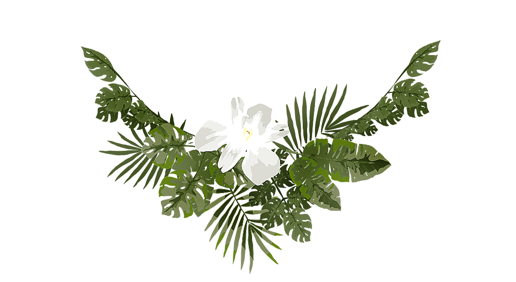 Footer image