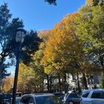 Birkdale Village