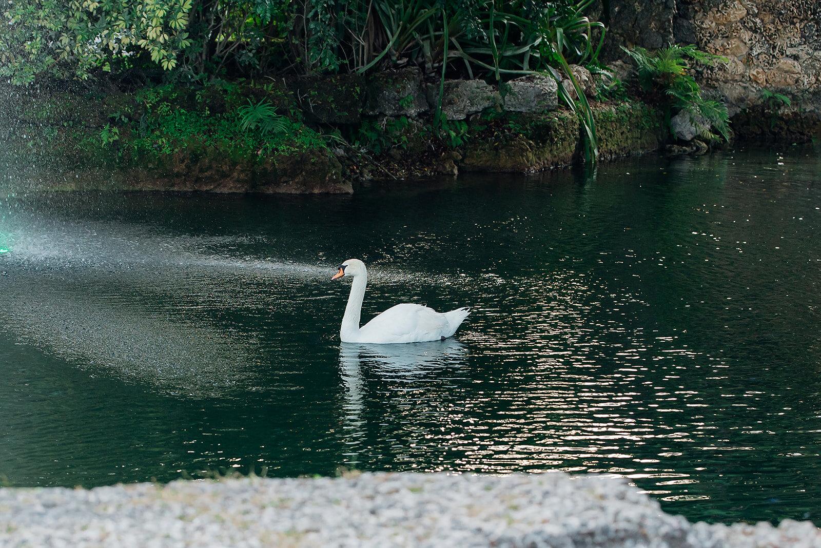 The Wedding Website of Chelsea Appleby and Stephen Tubman