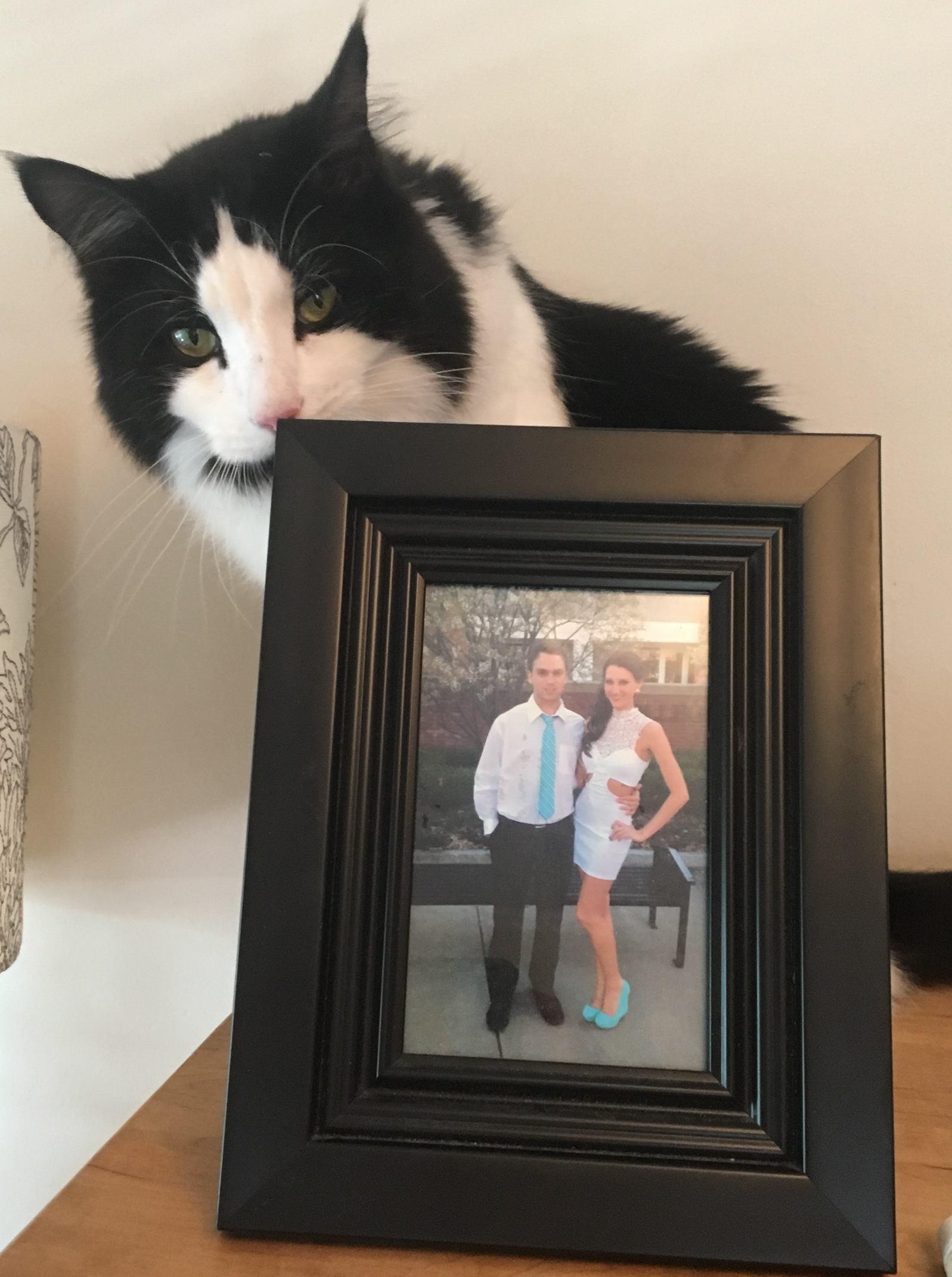 The Wedding Website of Mackenzi Sawyer and Nick Therrien