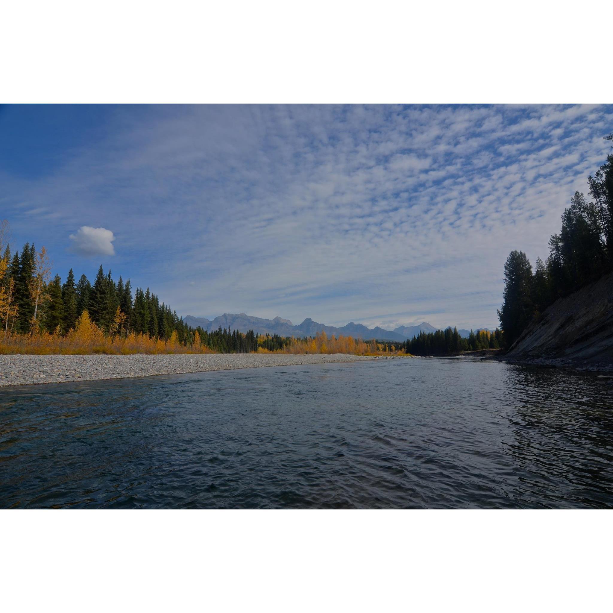 The North Fork River that runs through Polebridge.