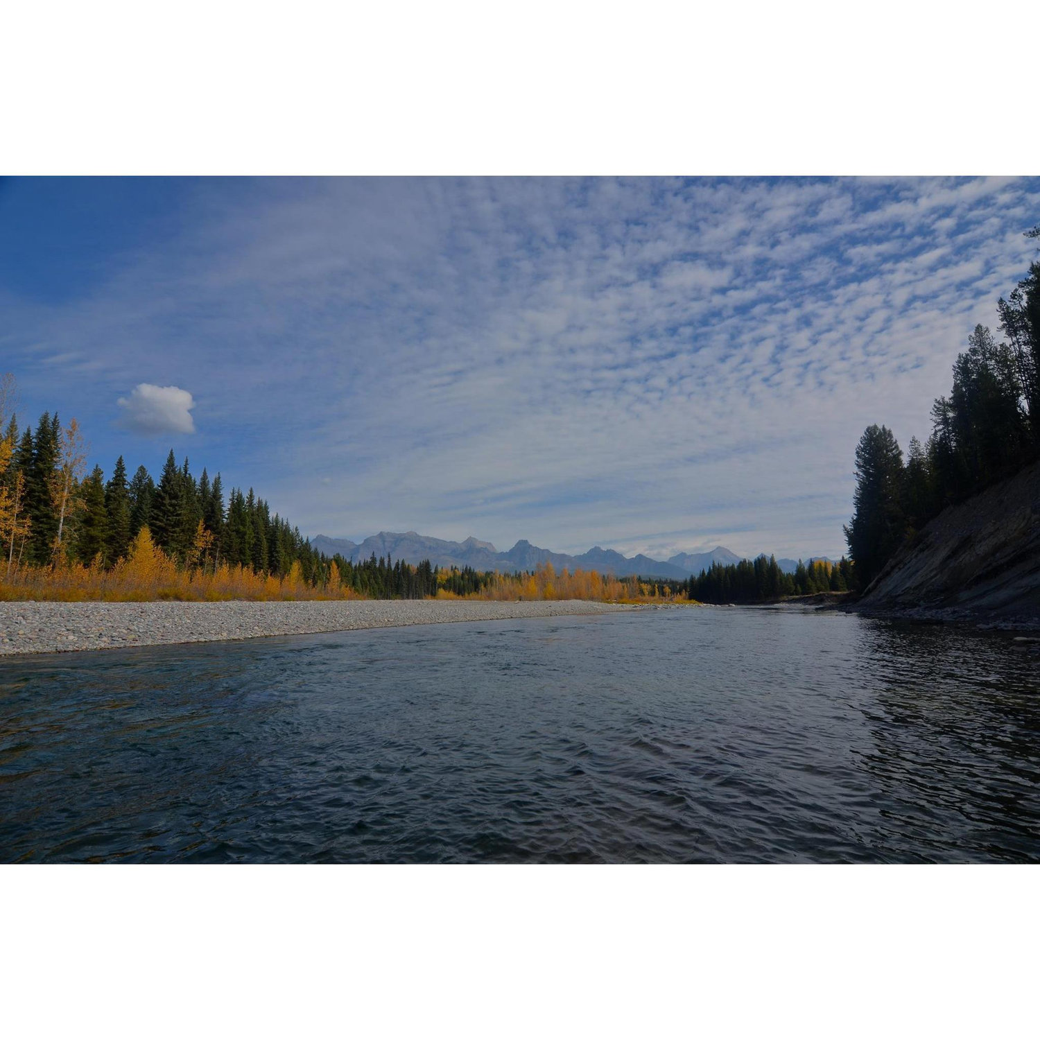 The North Fork River that runs through Polebridge.