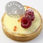 Satura Cakes