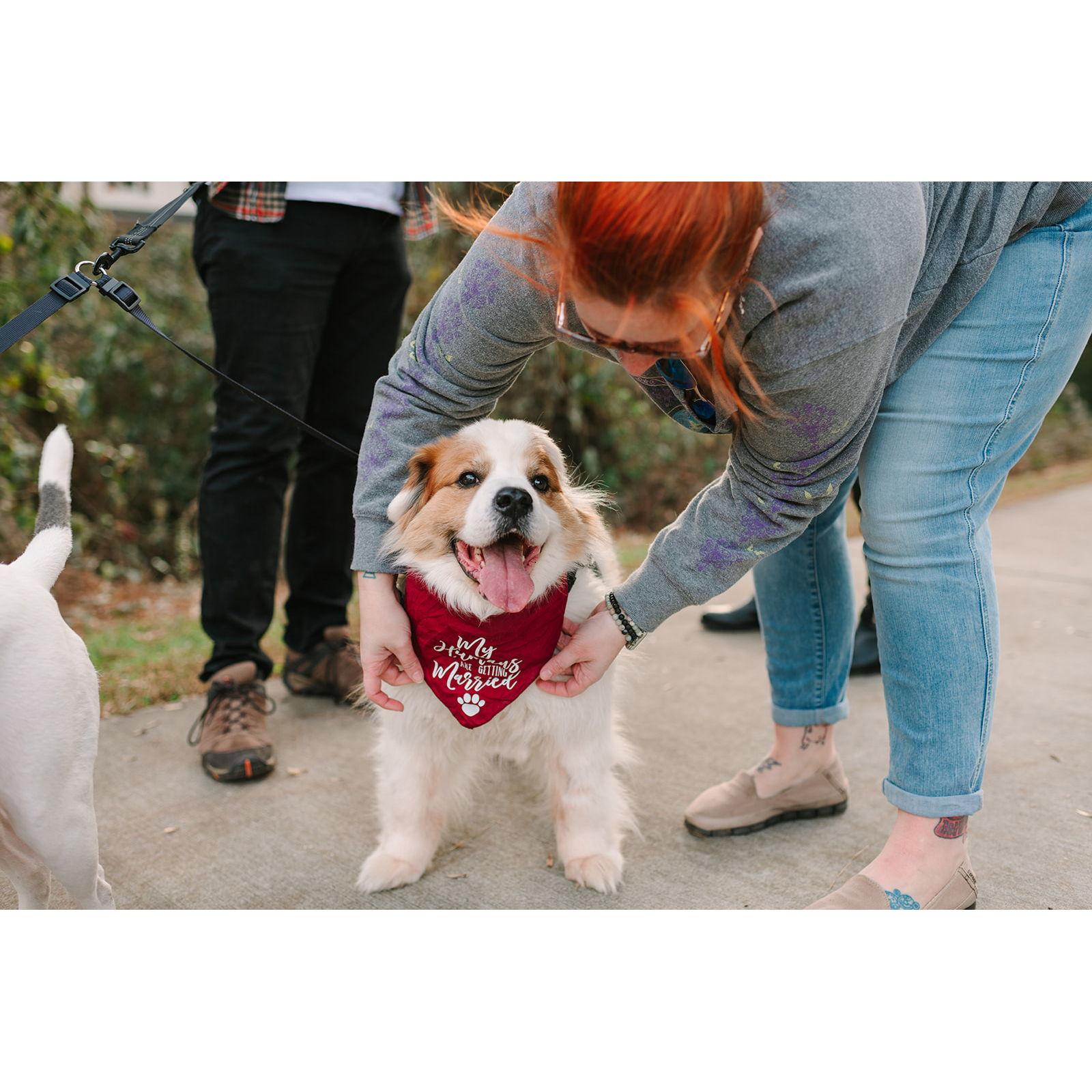 November 2022 — Leo proudly wearing his bandana from Auntie Alison. Thanks to Christina for helping us during the shoot!