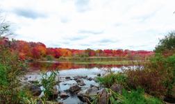 Massapequa Preserve