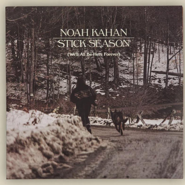 Stick Season (We'll All Be Here Forever) Deluxe Vinyl - Black Ice - Noah Kahan Official Website