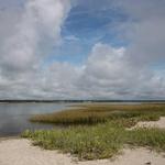 Masonboro Island