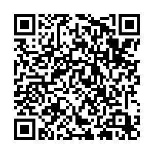 The Wedding Website of Chris Mock and Jayla Martin