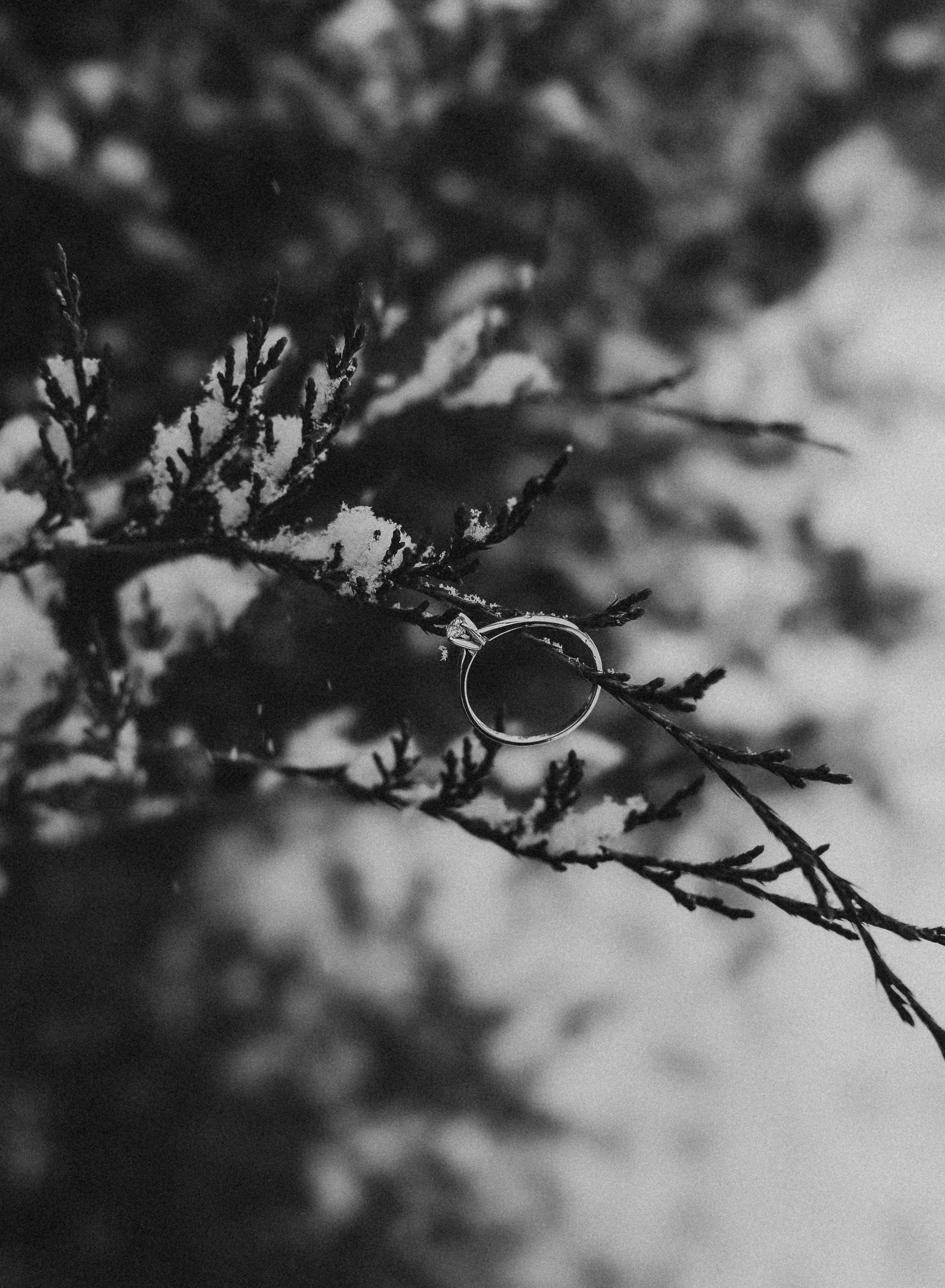 The Wedding Website of Alicia Lawrence and Chase Wood