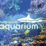 Long Island Aquarium