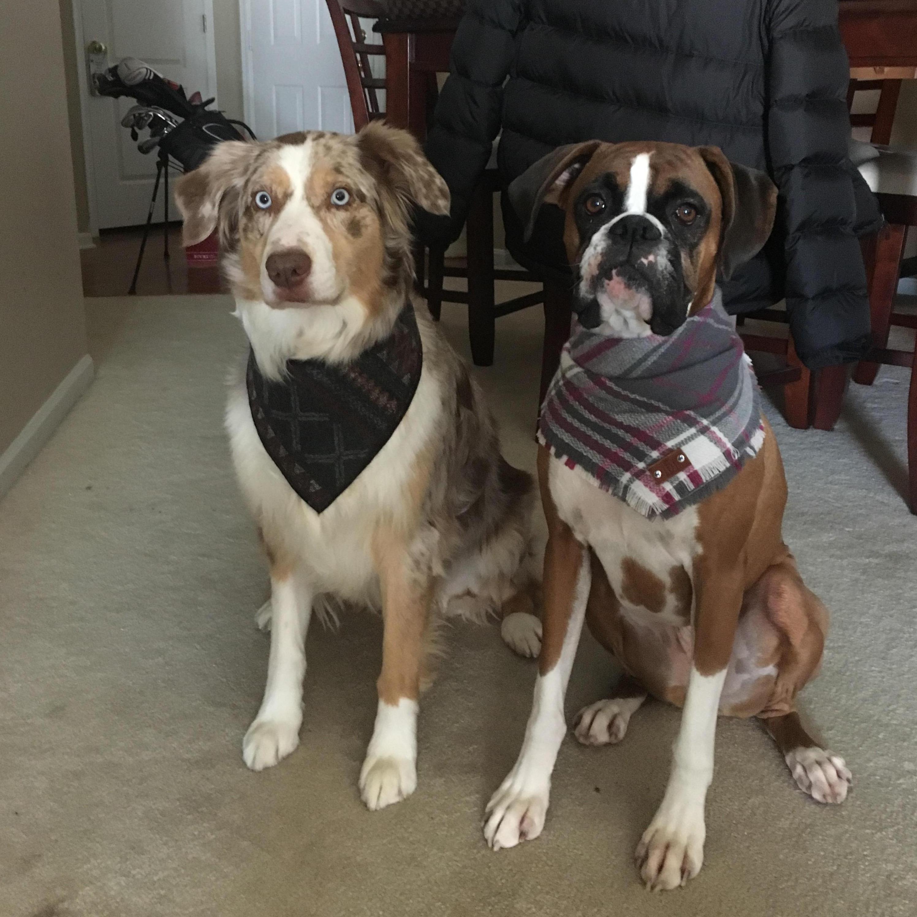 The Kids