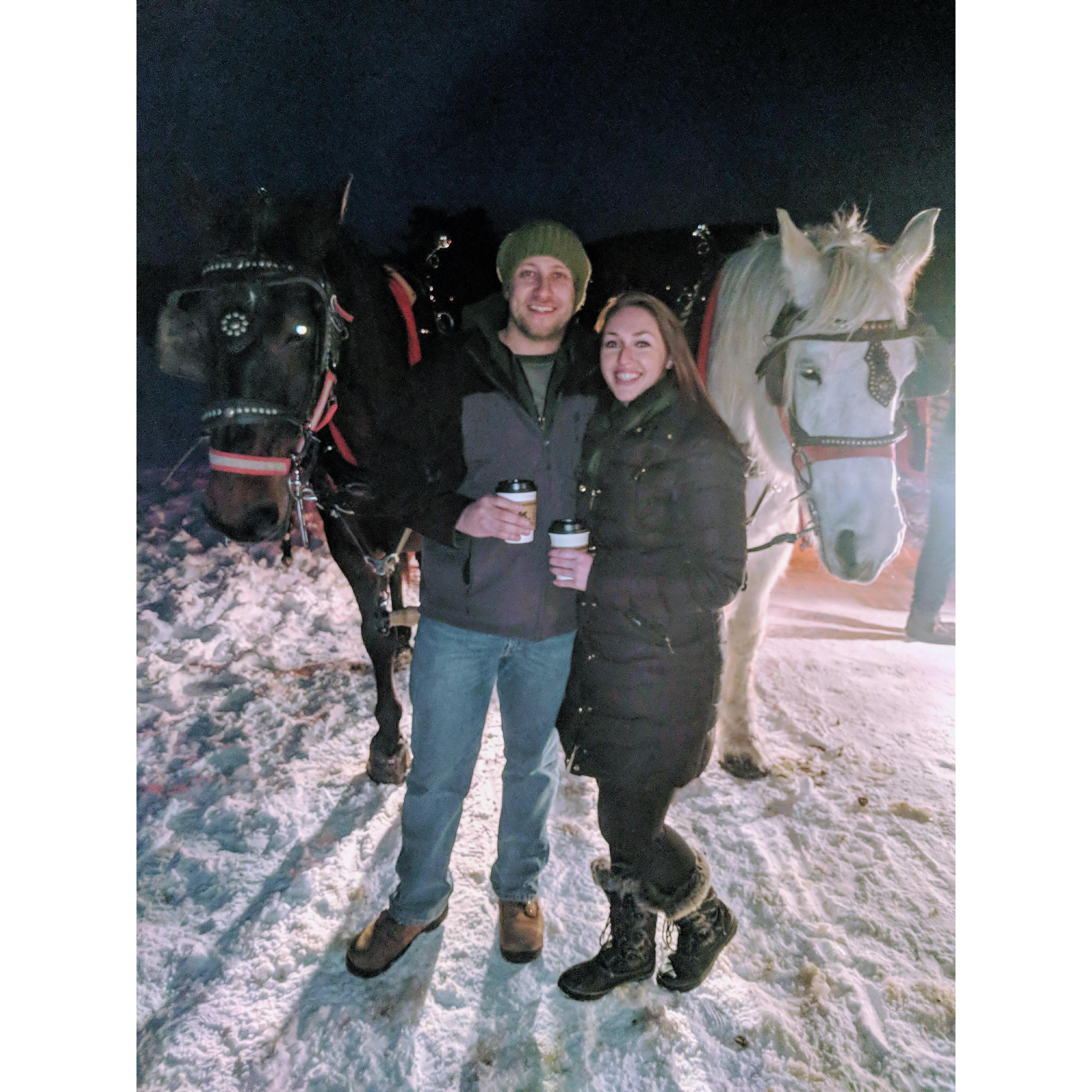 Sleigh Riding in Breckenridge