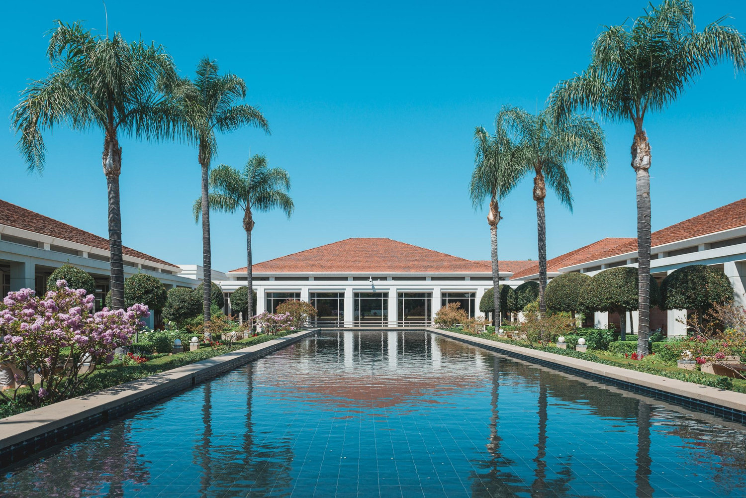 The Wedding Website of Lauren Kim and David Yi