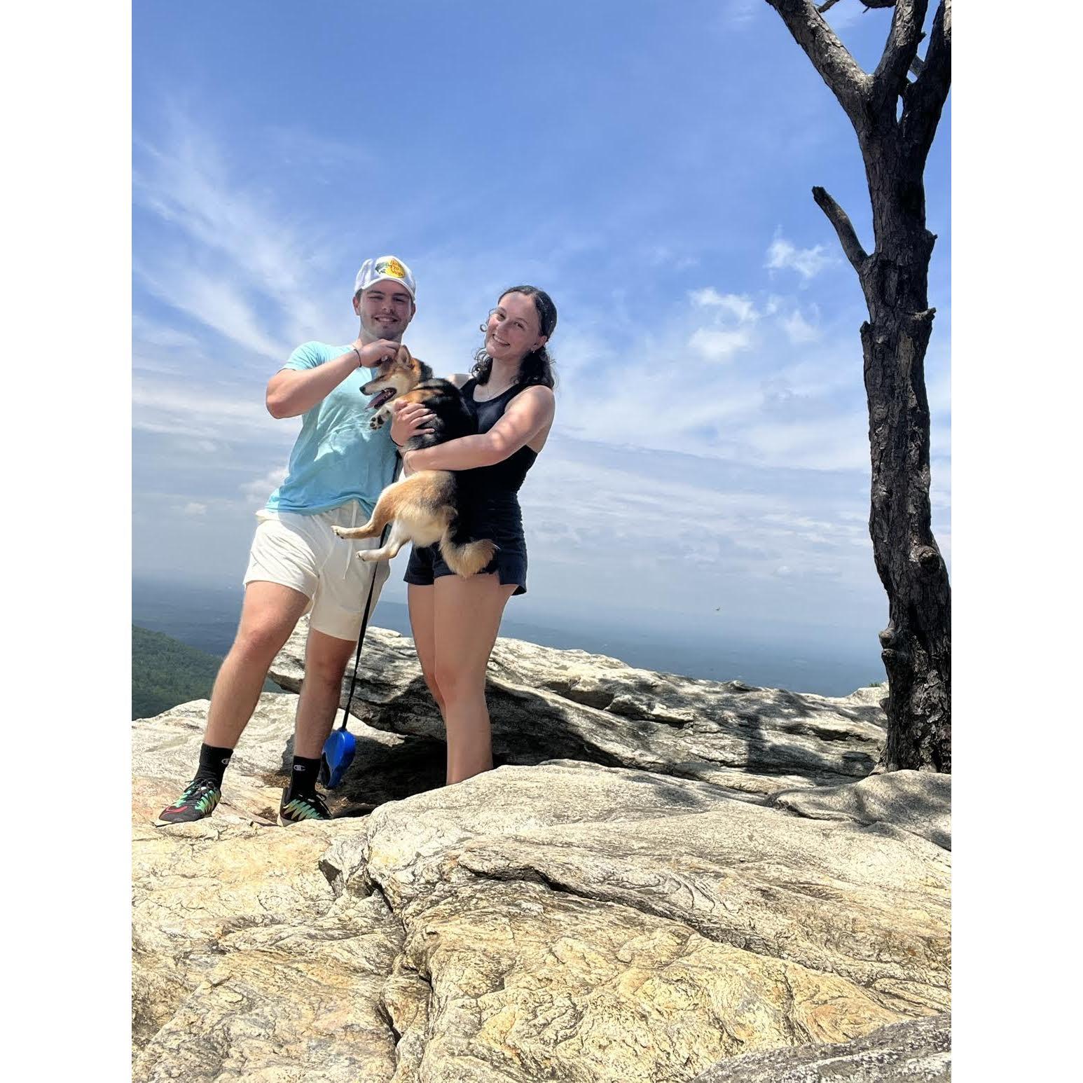 Zuzu was more tired than we were after this hike up to hanging rock!