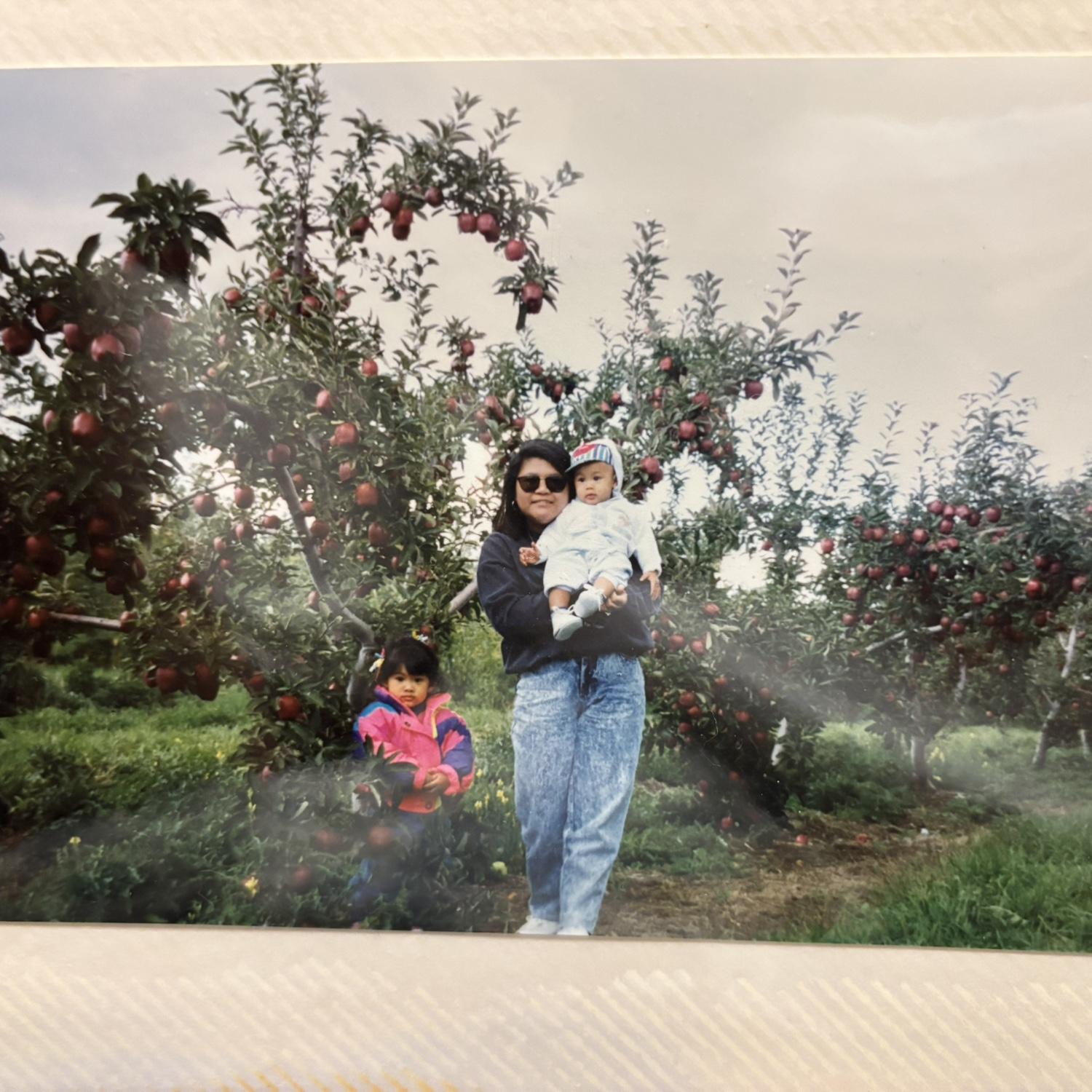 Apple picking circa 1993