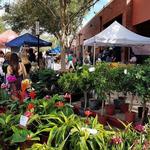 Riverside Arts Market