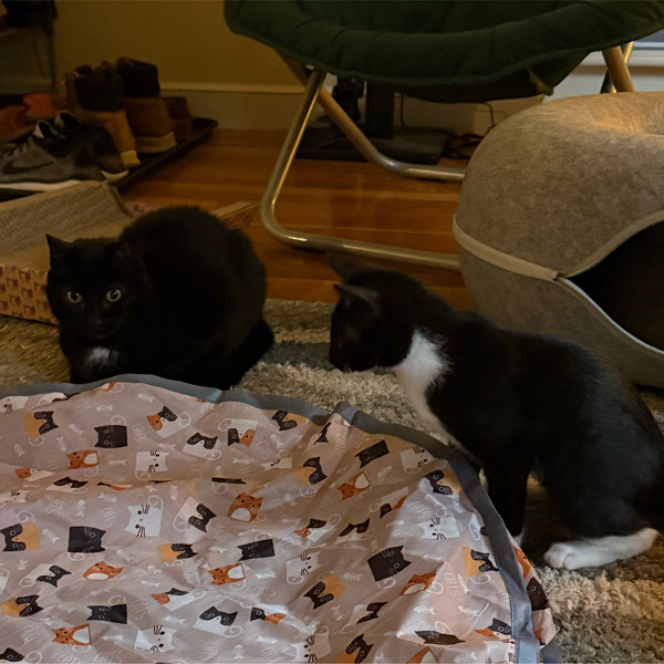 Vivian & Genevieve Fund