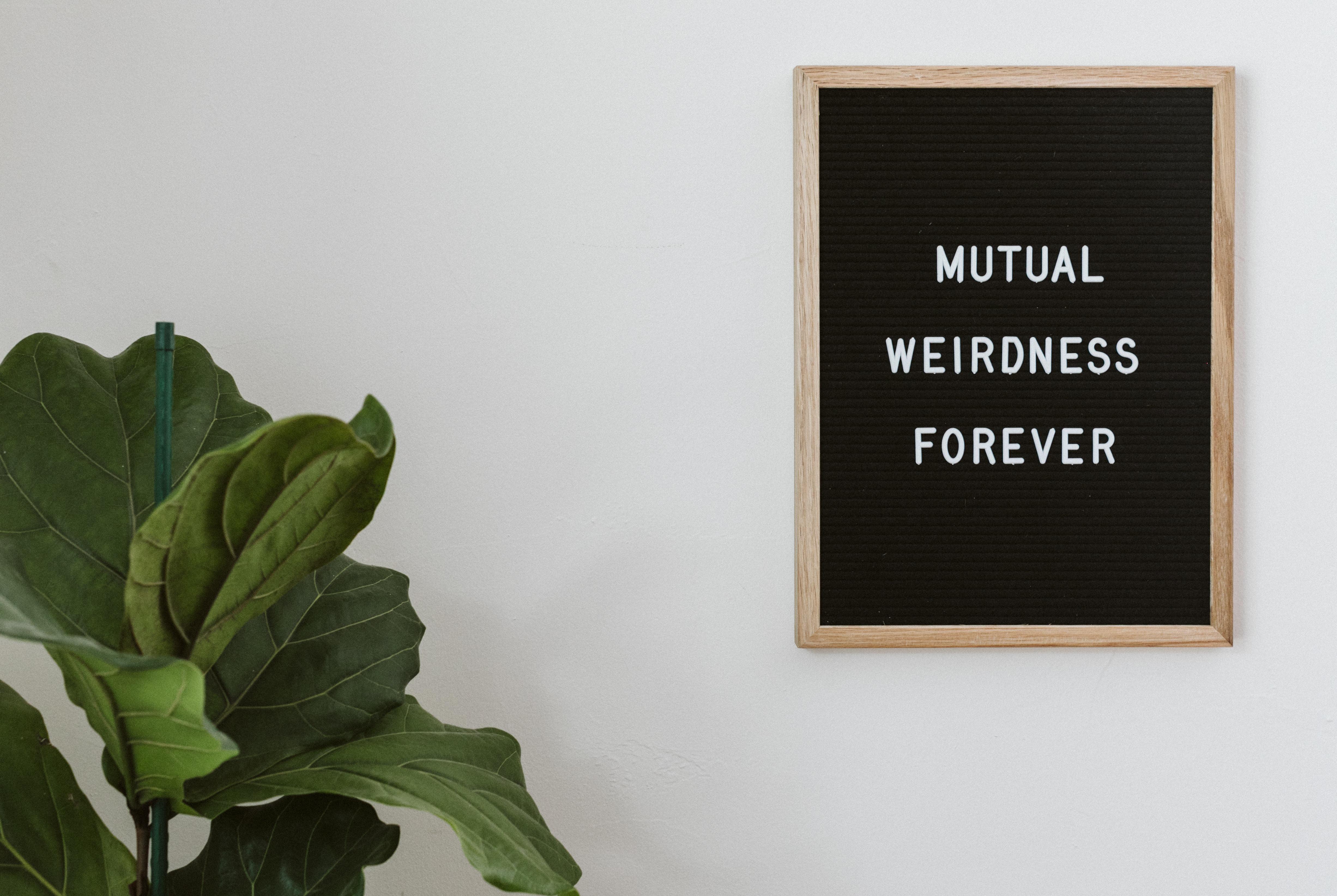 The Wedding Website of Cristina Luca and Mitch Davis