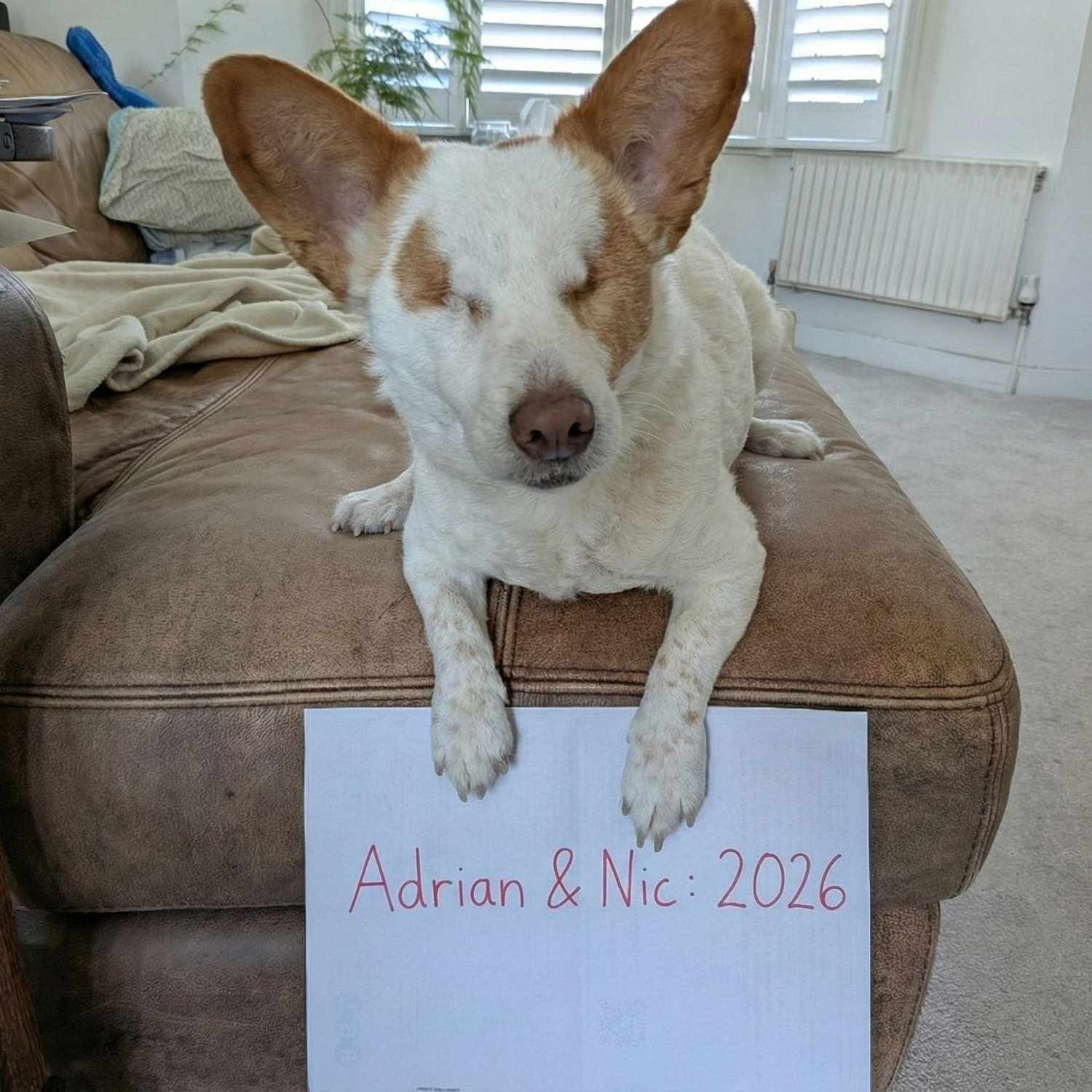 Gizmo is excited to welcome you all!