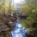 ↟ Umstead Park
