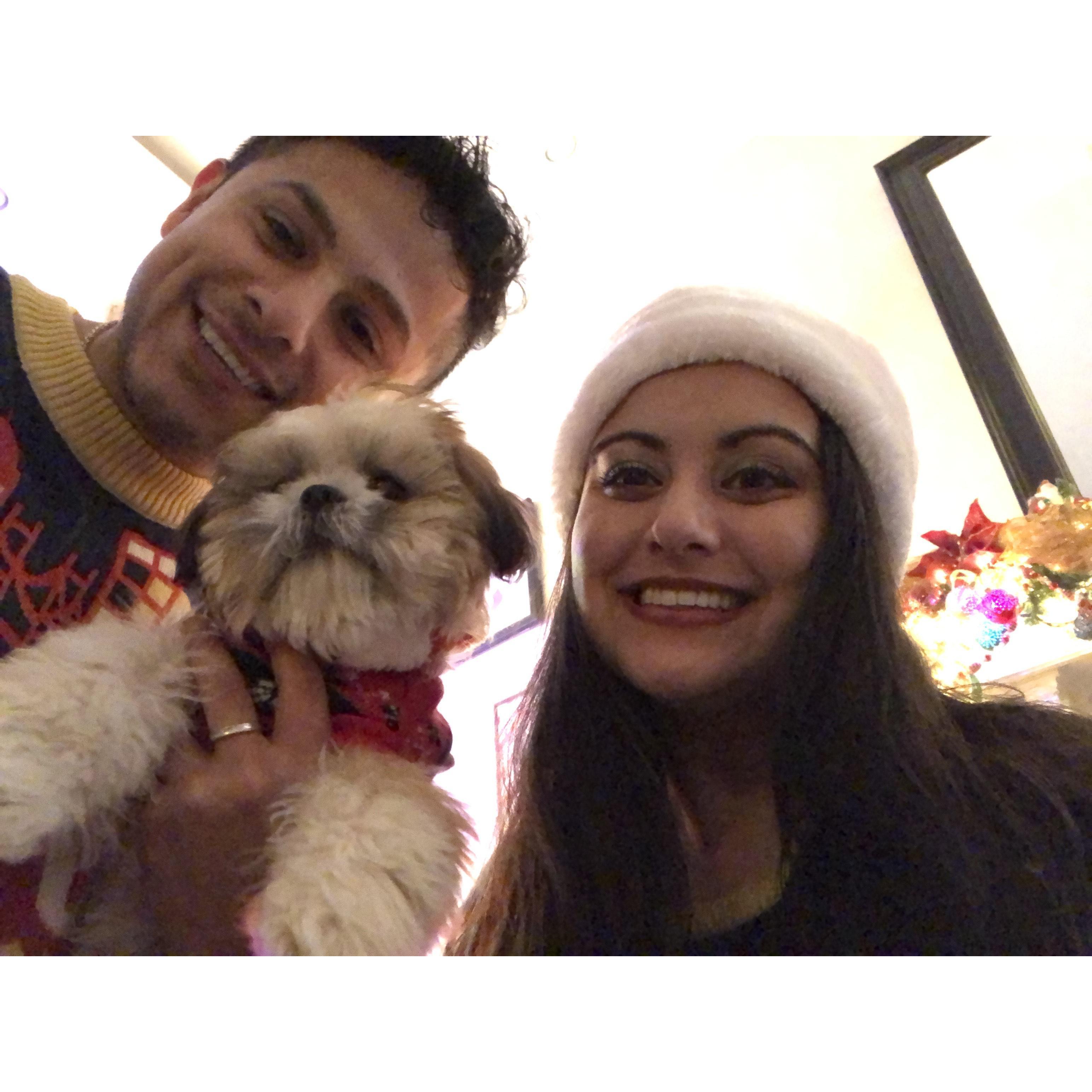 Hudson joined our family in the thick of the pandemic. He is dramatic, affectionate, and we can't live without him.