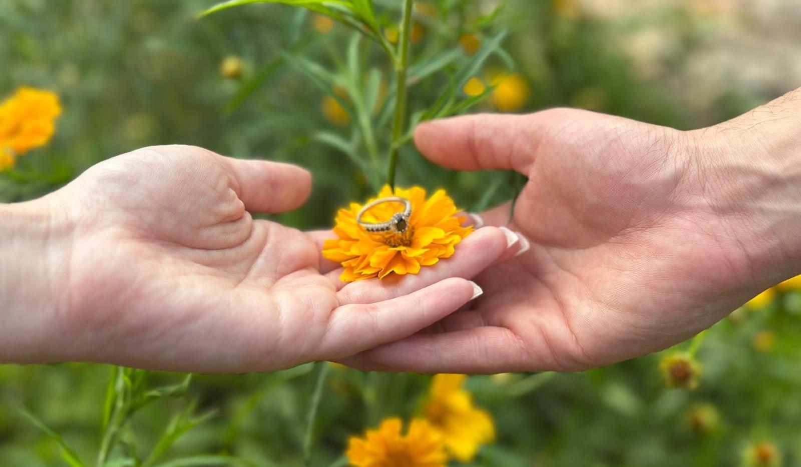 Hero Slideshow Image 0