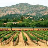 Napa Valley Wine Train