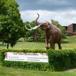 Mammoth Site (Black Hills - Hot Springs Region)
