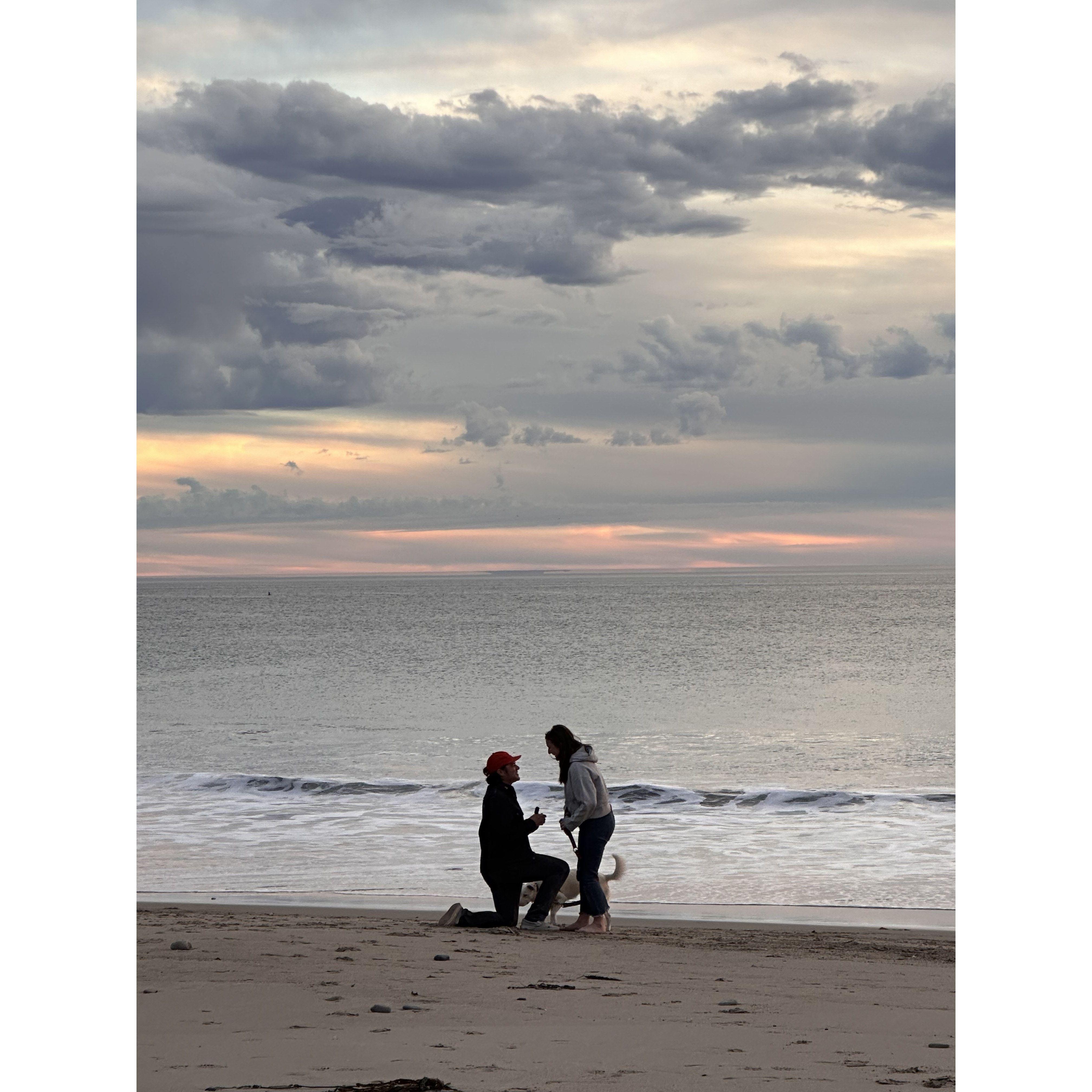 Sycamore Cove Beach, Malibu, CA. November 30, 2024.