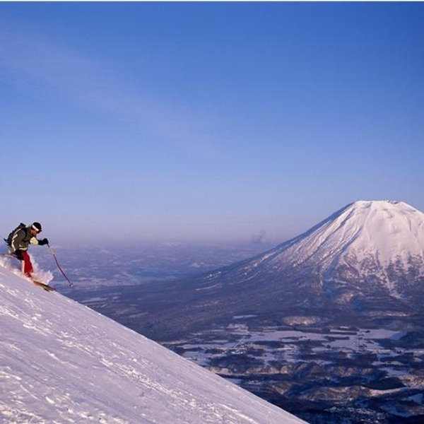 Honeymoon Guided Powder Day in Niseko